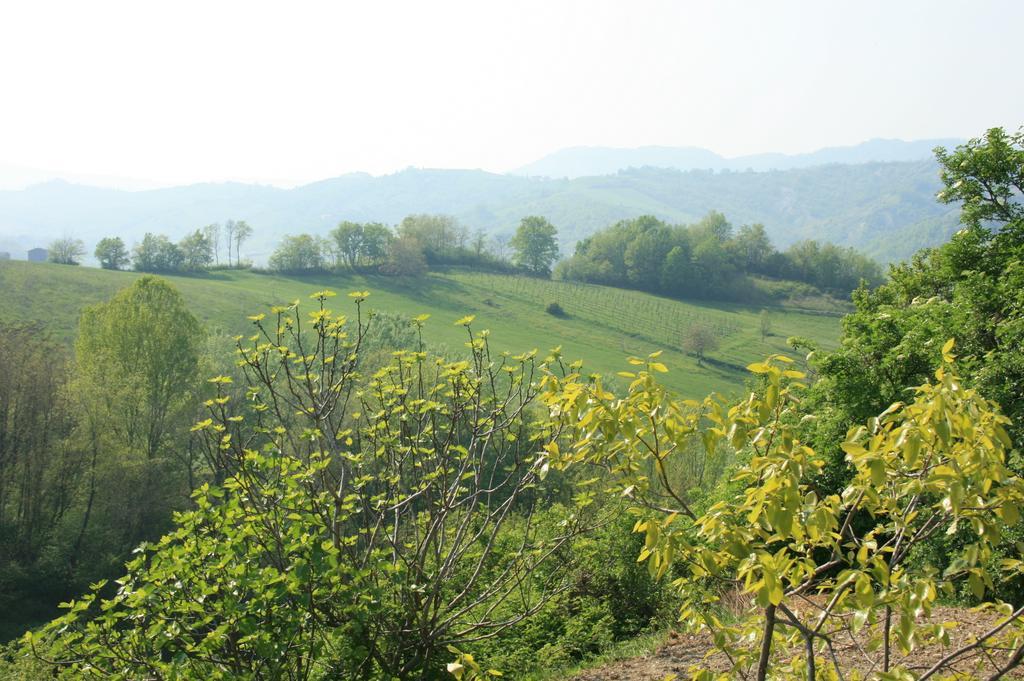 Casa Dell' Abbondanza B&B Agriturismo Vigoleno Kültér fotó