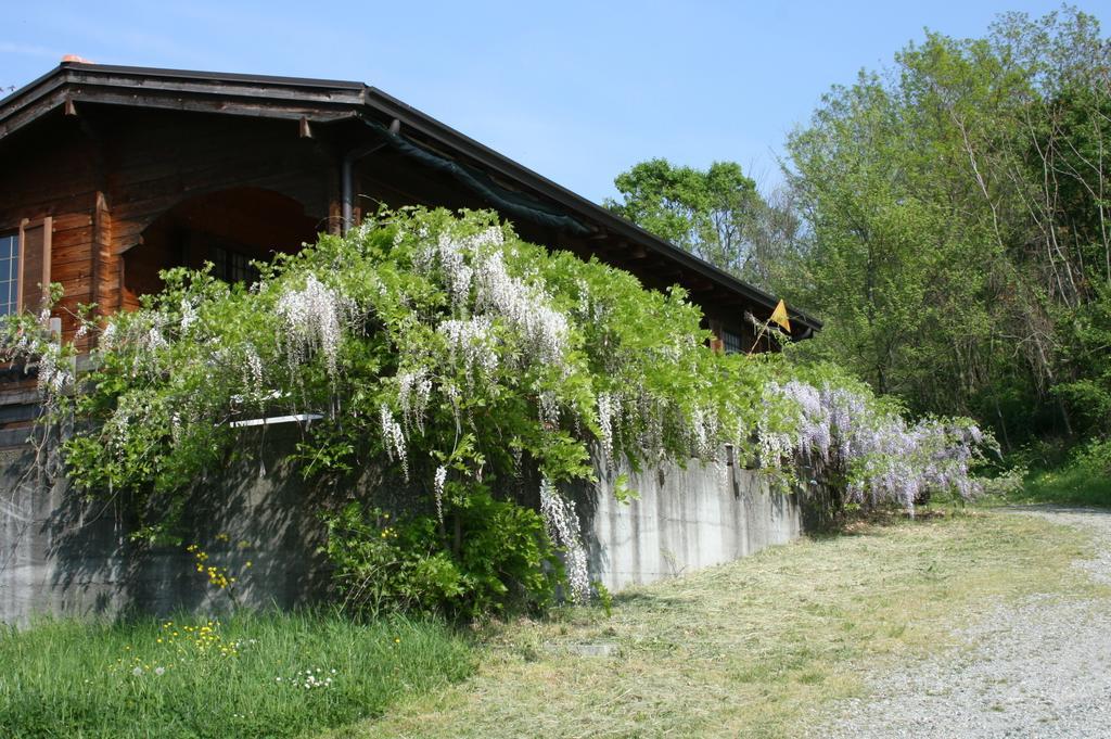 Casa Dell' Abbondanza B&B Agriturismo Vigoleno Kültér fotó