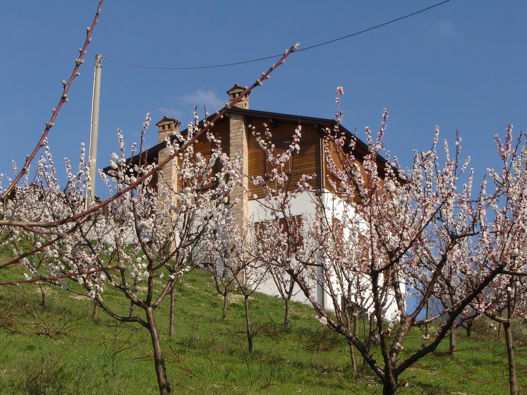 Casa Dell' Abbondanza B&B Agriturismo Vigoleno Kültér fotó