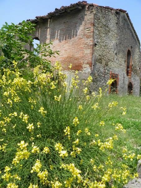 Casa Dell' Abbondanza B&B Agriturismo Vigoleno Kültér fotó