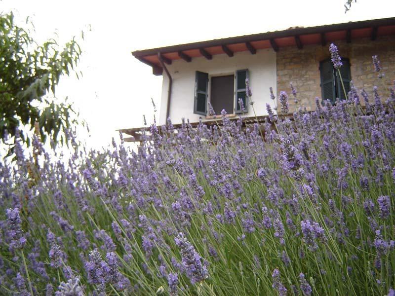 Casa Dell' Abbondanza B&B Agriturismo Vigoleno Kültér fotó
