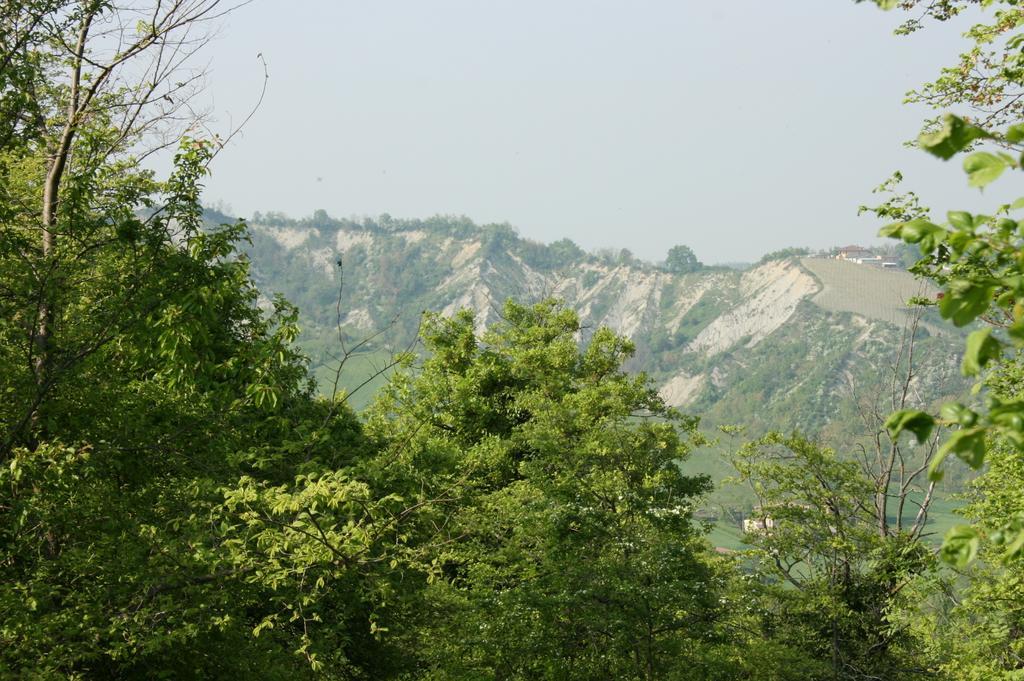 Casa Dell' Abbondanza B&B Agriturismo Vigoleno Kültér fotó